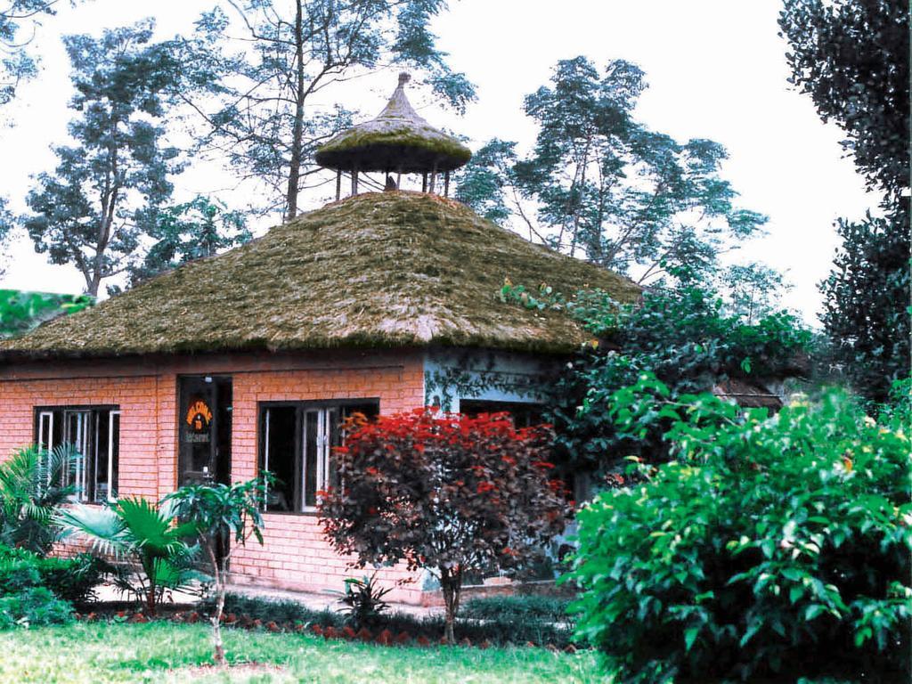 Rainbow Safari Resort Sauraha Kültér fotó